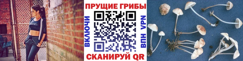 кракен рабочий сайт Оленегорск Псилоцибиновые грибы Magic Shrooms